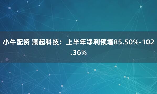 小牛配资 澜起科技：上半年净利预增85.50%-102.36%
