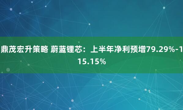 鼎茂宏升策略 蔚蓝锂芯：上半年净利预增79.29%-115.15%